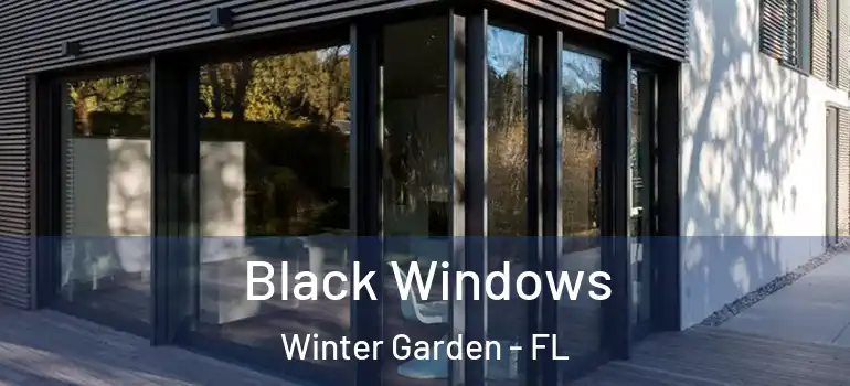 Black Windows Winter Garden - FL