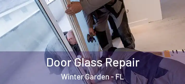 Door Glass Repair Winter Garden - FL