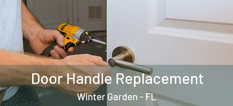 Door Handle Replacement Winter Garden - FL