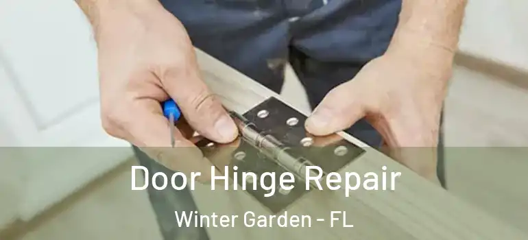 Door Hinge Repair Winter Garden - FL