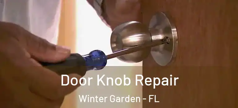 Door Knob Repair Winter Garden - FL