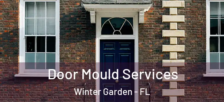 Door Mould Services Winter Garden - FL
