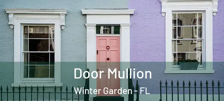 Door Mullion Winter Garden - FL