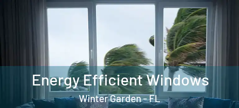 Energy Efficient Windows Winter Garden - FL