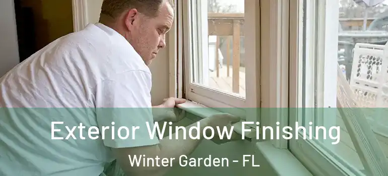 Exterior Window Finishing Winter Garden - FL