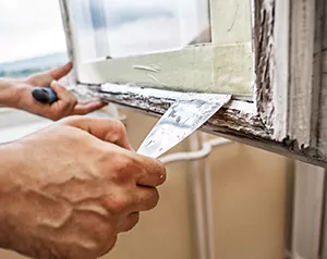 Professional Door and Windows Installation in Winter Garden, FL