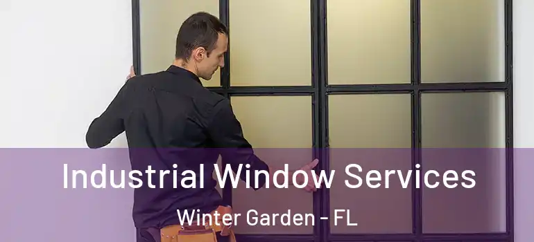 Industrial Window Services Winter Garden - FL