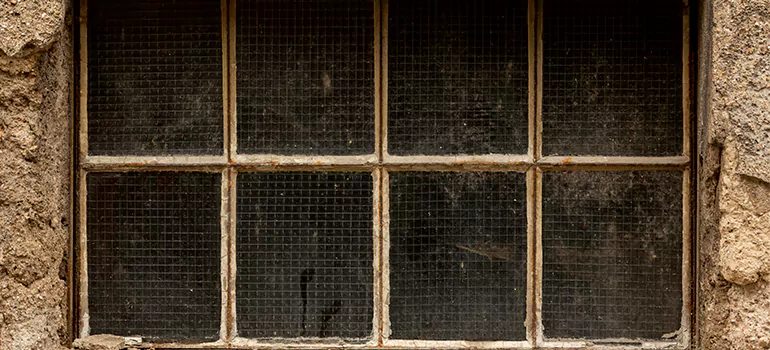Traditional Double Front Doors in Winter Garden, FL
