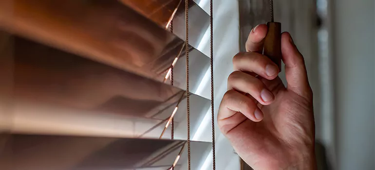 Double Roller Blinds in Winter Garden, FL