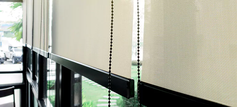 Blackout Window Shades in Winter Garden, FL