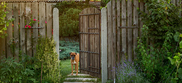Winter Garden Garage Door Repair in Winter Garden,[location field=state]