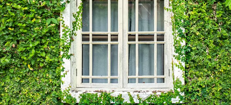 Garden Window Repair Near Me in Winter Garden, FL