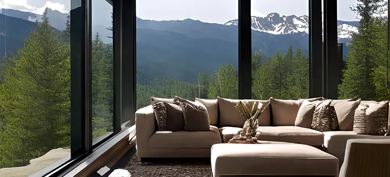 Picture Window Maintenance in Winter Garden, FL