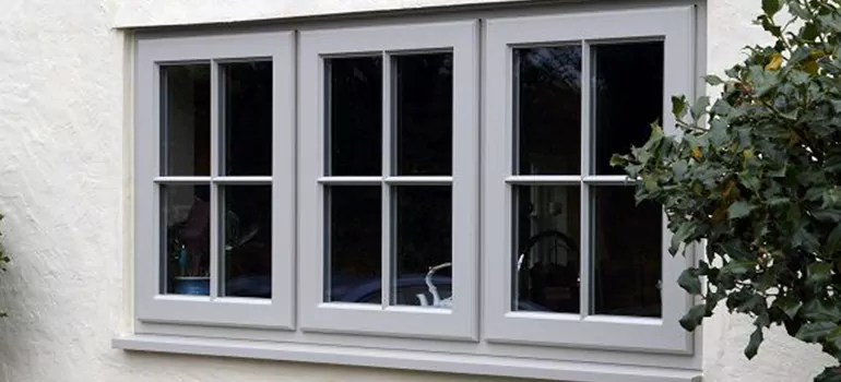 Stormproof Windows With Tinted Glass Services in Winter Garden, FL