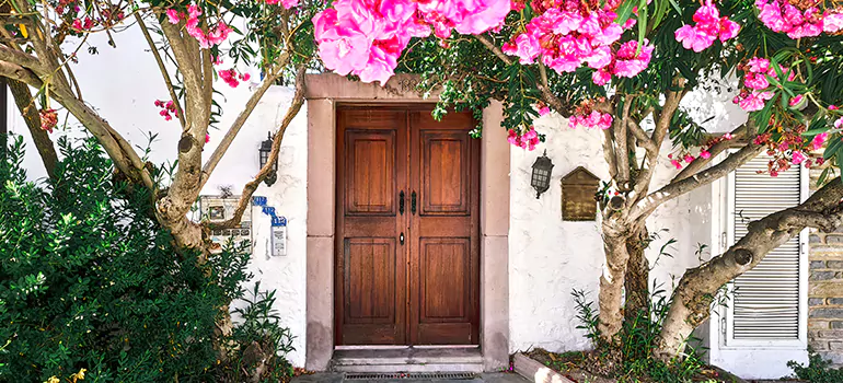 Traditional 4 Panel Internal Doors in Winter Garden, FL