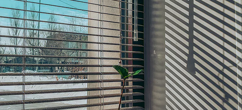 Commercial Window Blinds in Winter Garden, FL