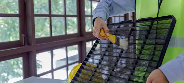 Traditional Window Grille Installation Options in Winter Garden, FL