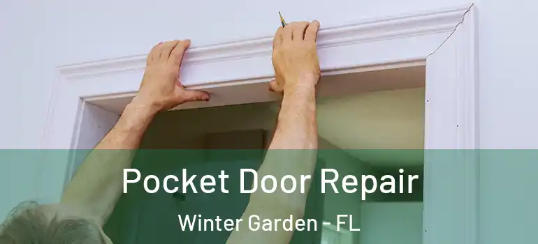 Pocket Door Repair Winter Garden - FL