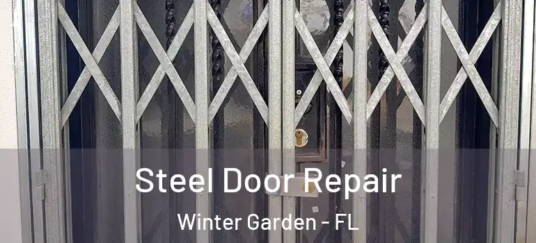 Steel Door Repair Winter Garden - FL