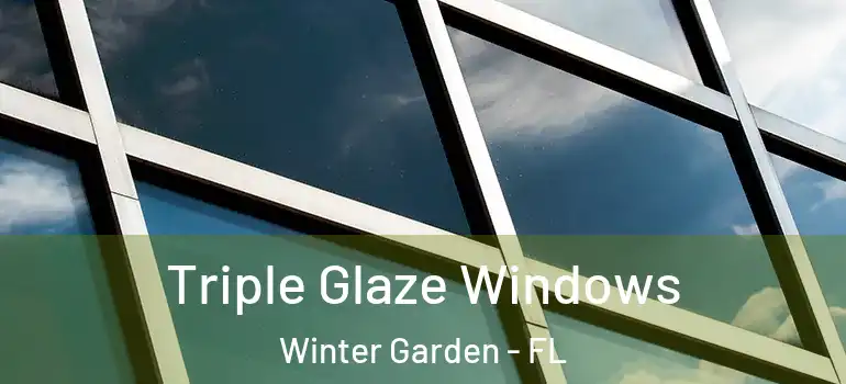 Triple Glaze Windows Winter Garden - FL