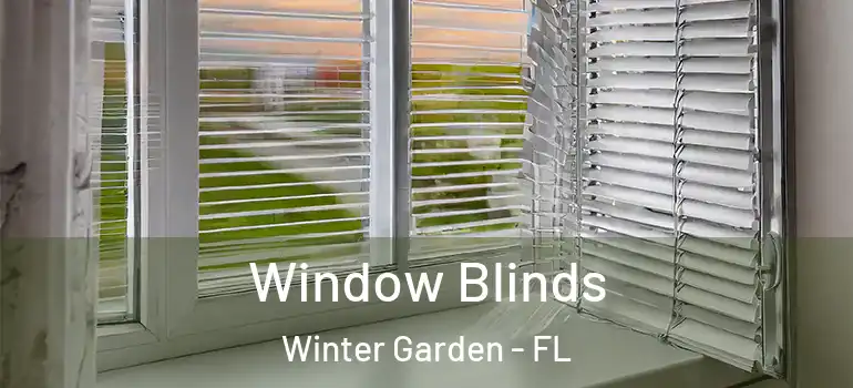 Window Blinds Winter Garden - FL