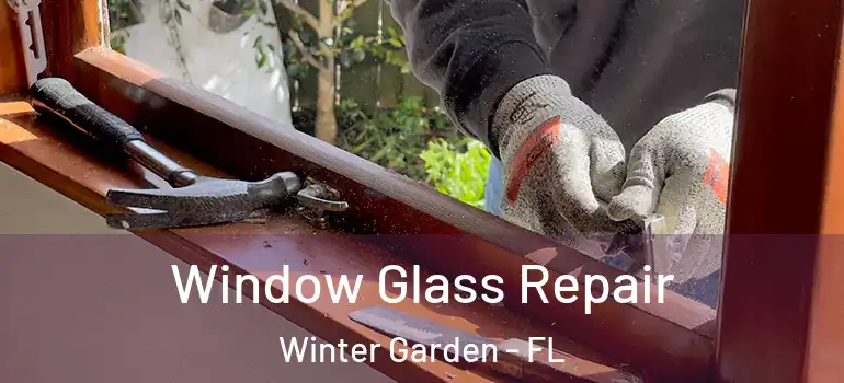 Window Glass Repair Winter Garden - FL