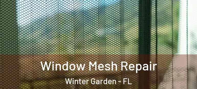 Window Mesh Repair Winter Garden - FL