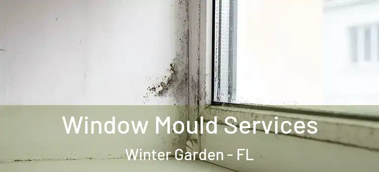 Window Mould Services Winter Garden - FL