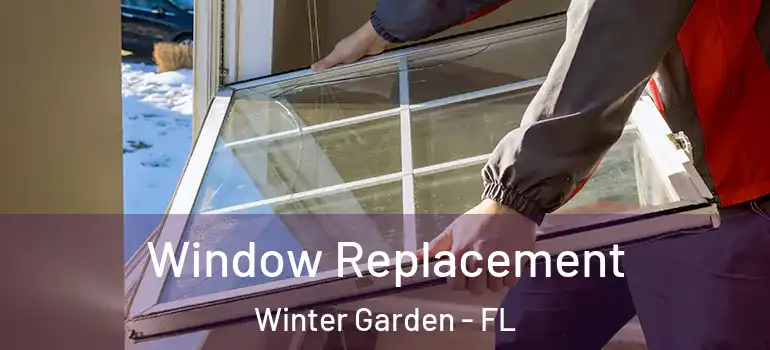 Window Replacement Winter Garden - FL