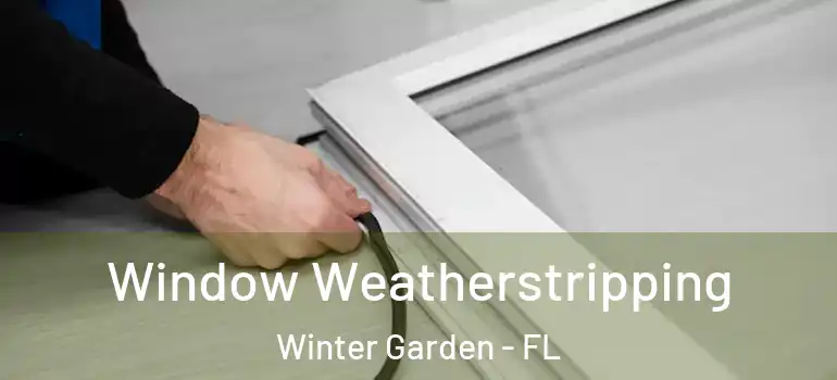 Window Weatherstripping Winter Garden - FL